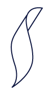 Untitled-3-02.png
