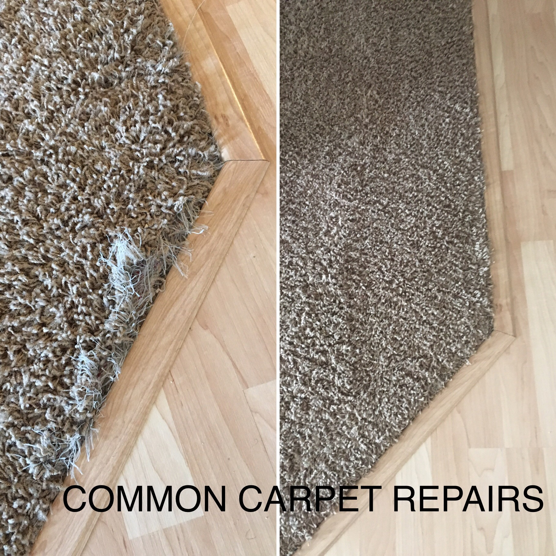 Express Carpet Cleaners. Carpet Cleaning Service Discounts Fargo