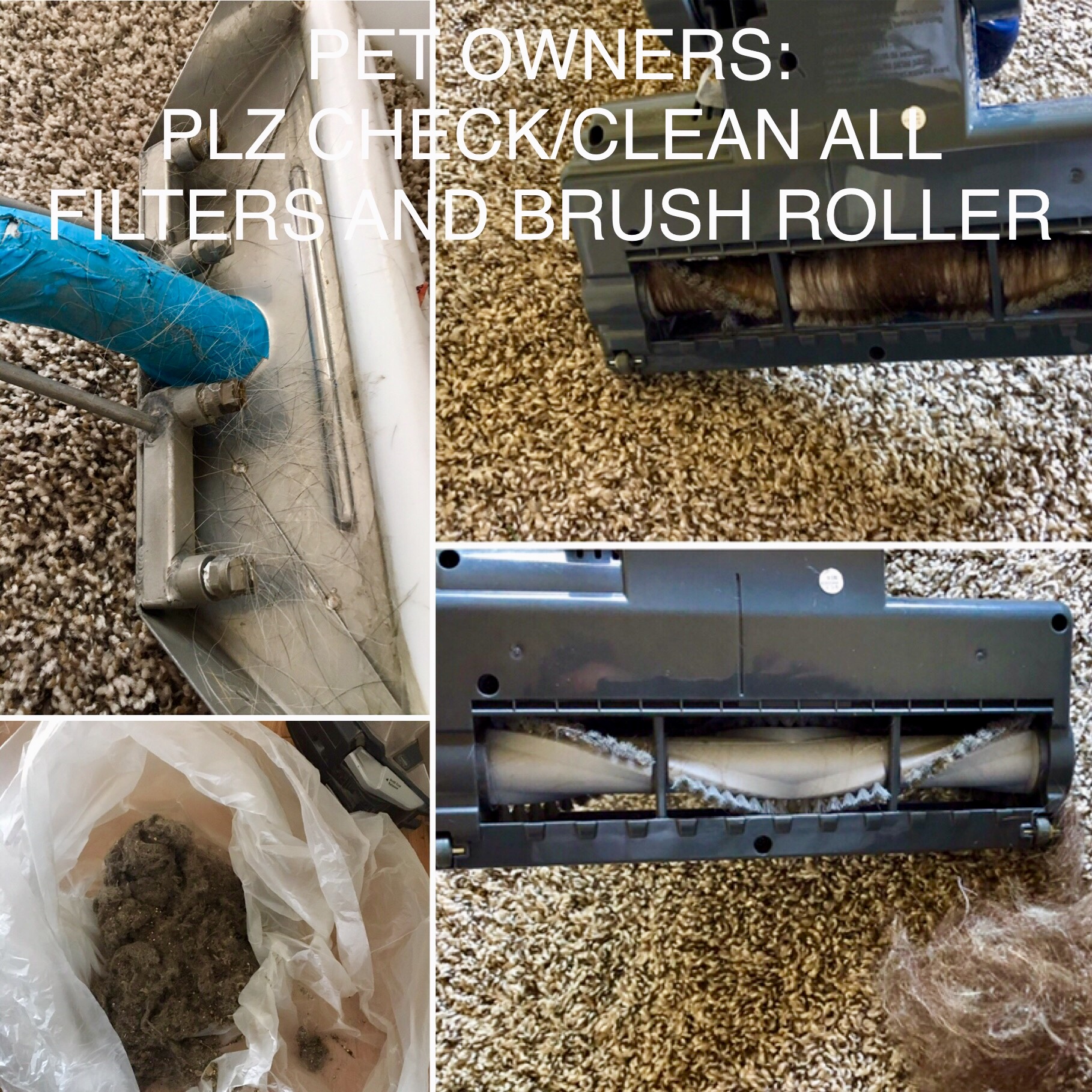 Express Carpet Cleaners. Carpet Cleaning Service Discounts Fargo