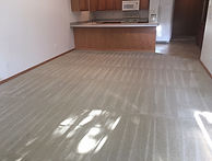 Discount carpet cleaner in Fargo West Fargo Moorhead