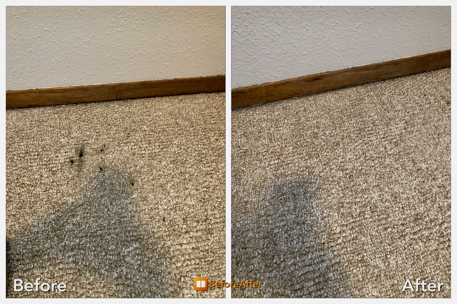 Express Carpet Cleaners. Carpet Cleaning Service Discounts Fargo