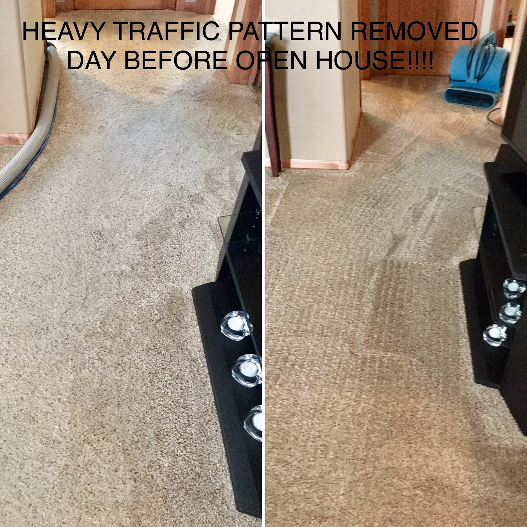 Express Carpet Cleaners. Carpet Cleaning Service Discounts Fargo