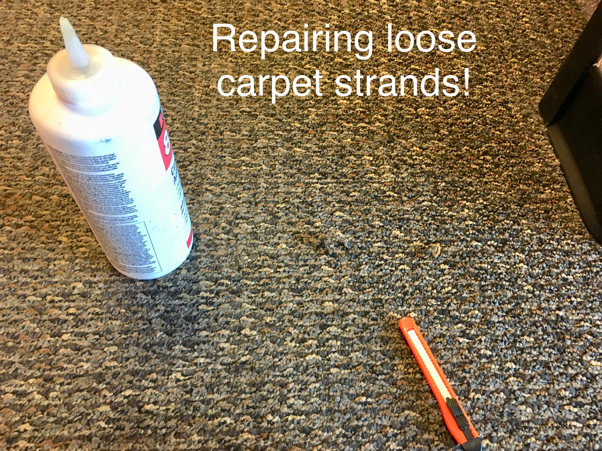 Express Carpet Cleaners. Carpet Cleaning Service Discounts Fargo