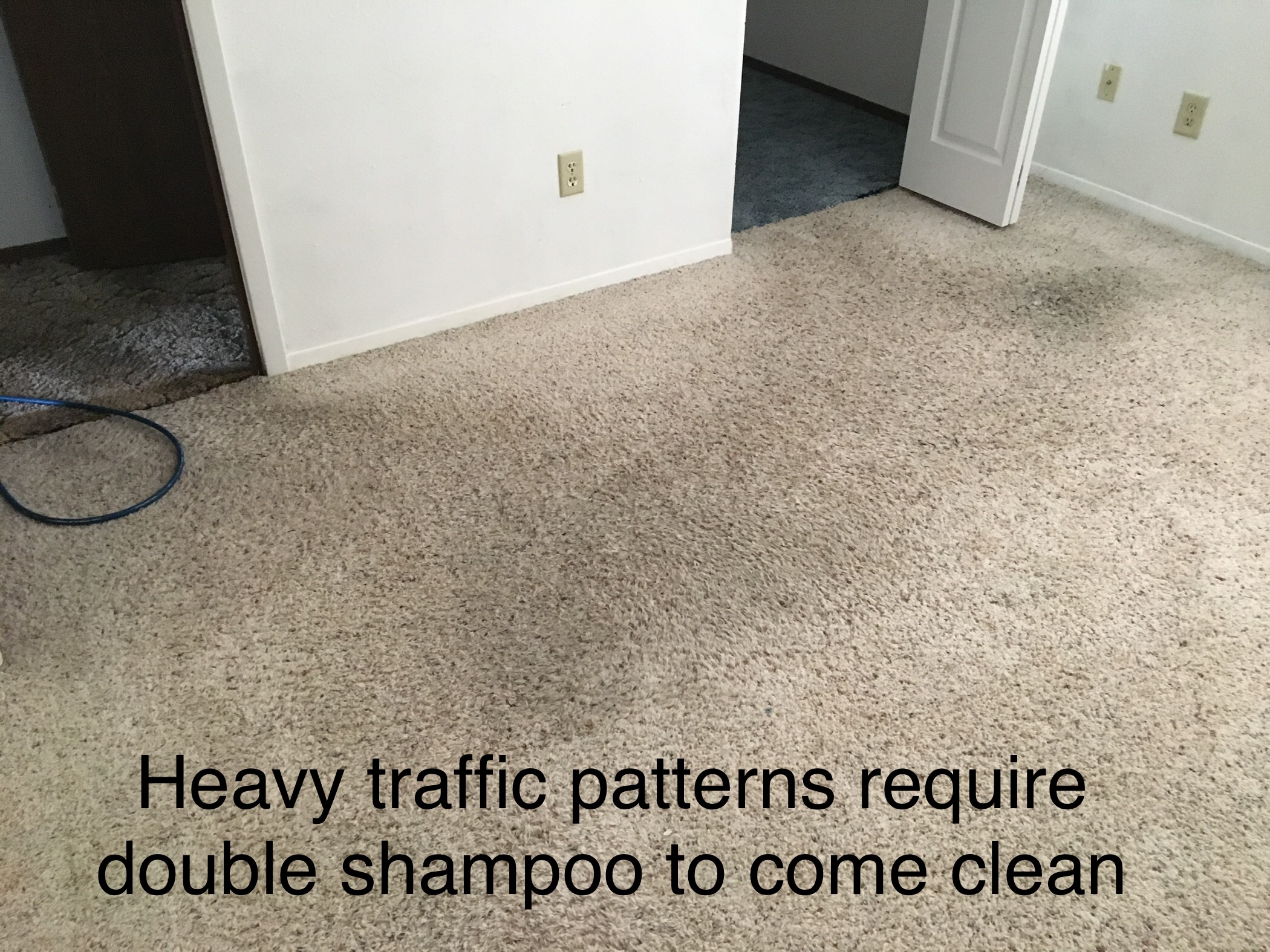 Express Carpet Cleaners. Carpet Cleaning Service Discounts Fargo