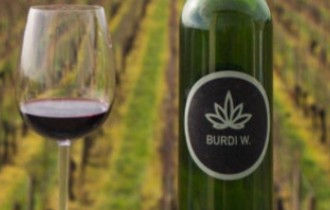 France’s first wine with cannabis comes from Bordeaux