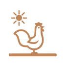 4_edited.png