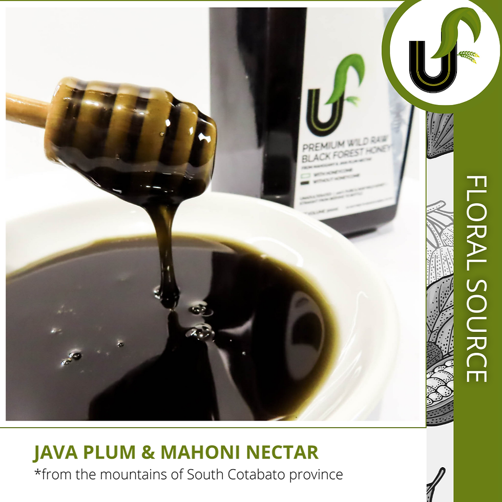 Thumbnail: BUY 1 TAKE 1! Premium Wild Raw BLACK Forest Honey 300ml x