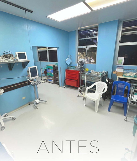 WhatsApp Image 2025-06-02 at 09.45.11 (1).jpg