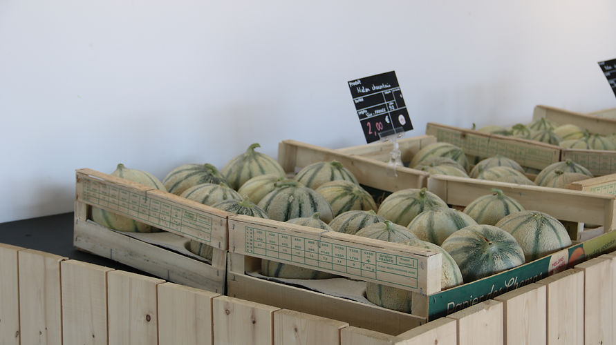 Melons caisse