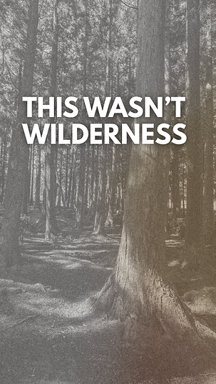 This Wasn’t Wilderness.png