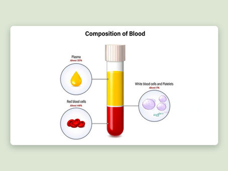 Blood – What We Need to Know