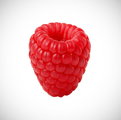 Rote Himbeere auf weißem Hintergrund