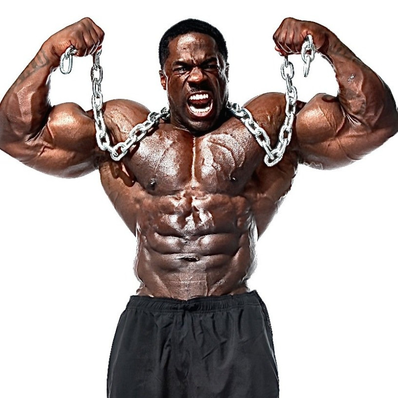 Https Www Powtoon Com Show Fx3sdemnmww Noah And Brandon Kali Muscle Beach