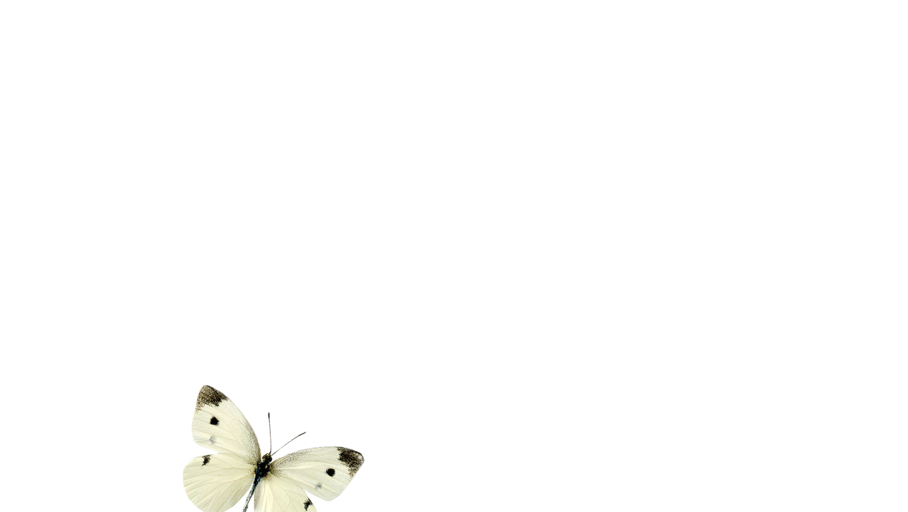 _ (5).gif