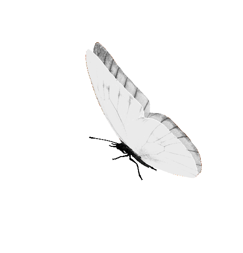_ (6).gif