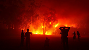 Sonoma Fire by Joshua Burke (Age: 14)