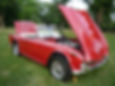 TR4A display