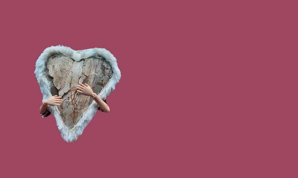 cirkels van vergeving vlaanderen