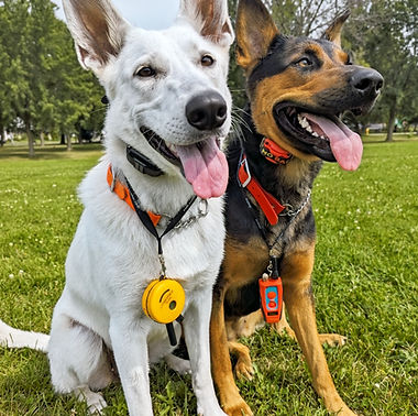 PXL_20240806_184932014 (1)_edited.jpg