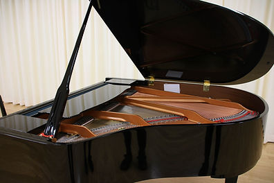 IMG_8870.jpg