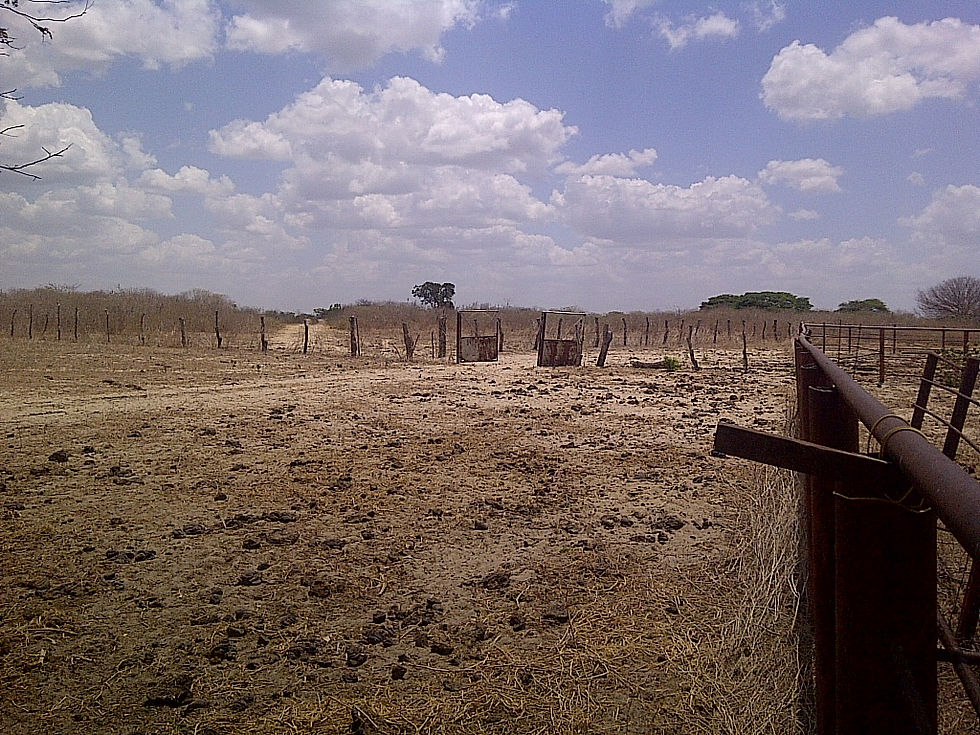 IMG-20140410-01424.jpg