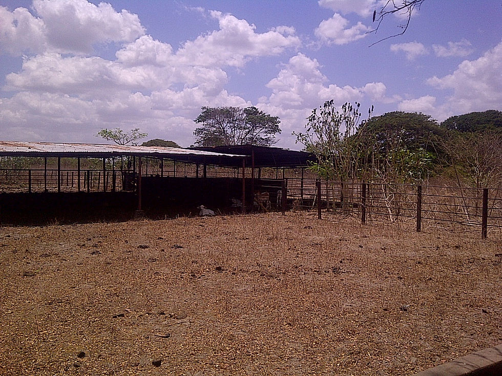 IMG-20140410-01422.jpg