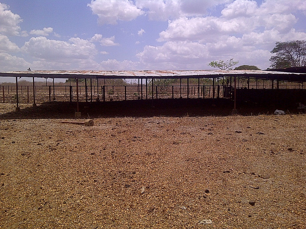 IMG-20140410-01421.jpg
