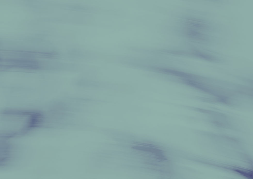 fond forum aux professions_edited.jpg