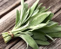 sage