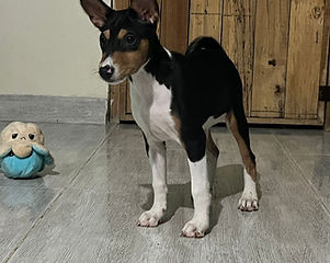 WhatsApp Image 2023-11-22 at 9.57.42 PM (2).jpeg