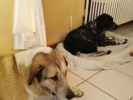 Arrivée bien méritée