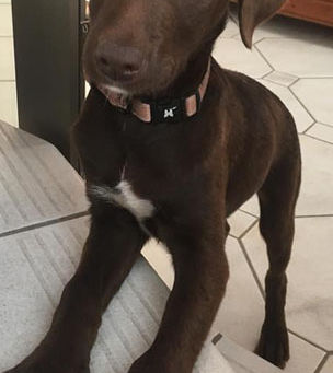 Malheureusement nous n'avons pas toujours de bonnes nouvelles..