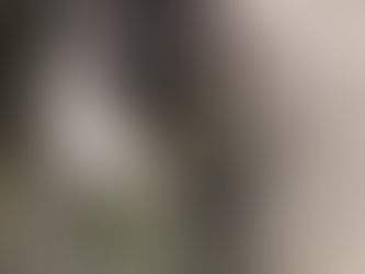 Et voilà les nouvelles du dernier arrivé de ce week-end !