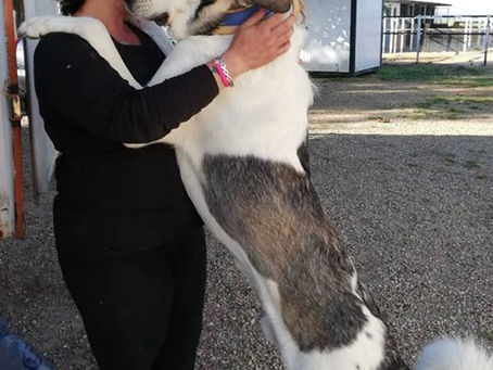 Nos premiers chanceux du mois d'Avril, Pupette et Loba !