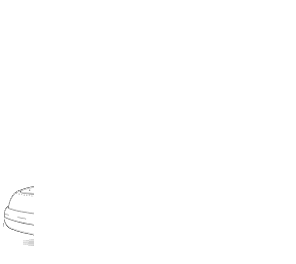 logo1.gif