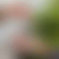 Unlocking Your Dream Home: Down Payment Assistance in McKinney, TX