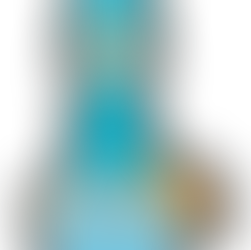 メス犬の避妊手術は必要か？