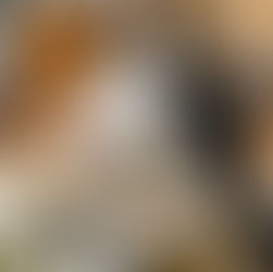 あけましておめでとうございます。