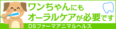 DSファーマアニマルヘルス 疾病解説シリーズ、犬のオーラルケアページへのバナー画像