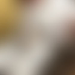 猫のゴロゴロセラピー 