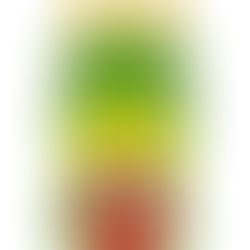 今年もどうぞよろしくお願いいたします
