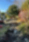 IMG-20211109-WA0025_edited.jpg