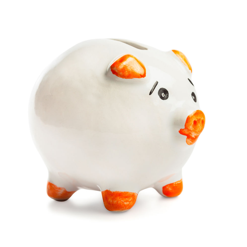 cute-piggy-bank-on-white-background-2026-09-22-17-04-42-utc.jpg