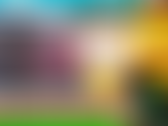 Velocity EXECUTOR PC