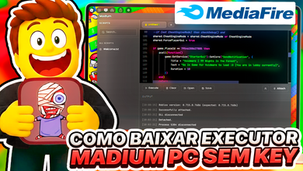Madium EXECUTOR PC