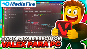 Valex EXECUTOR PC