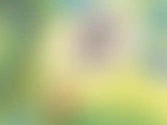 Our Favorite Children's Music