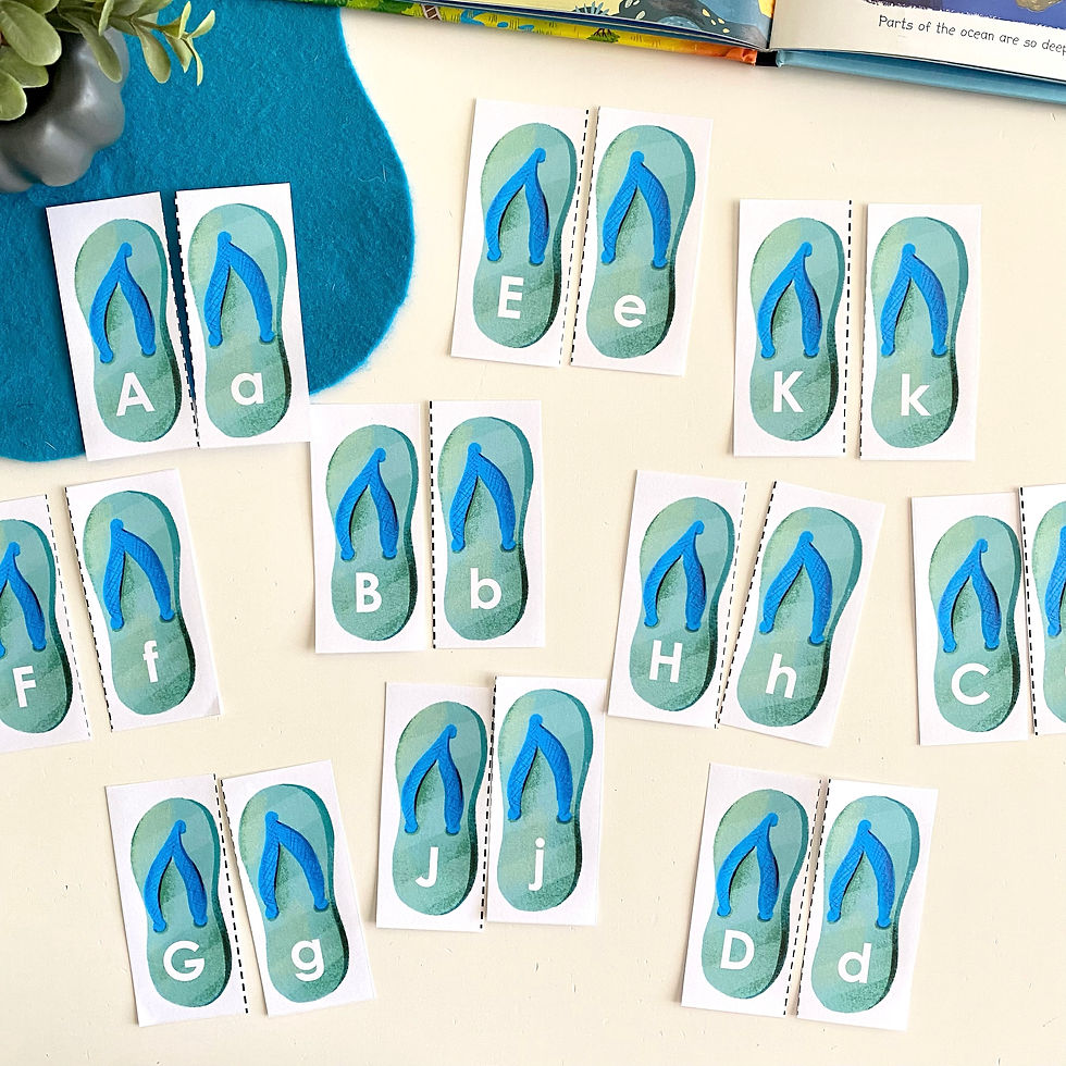 Thumbnail: Day at the Beach Play & Learn Kit