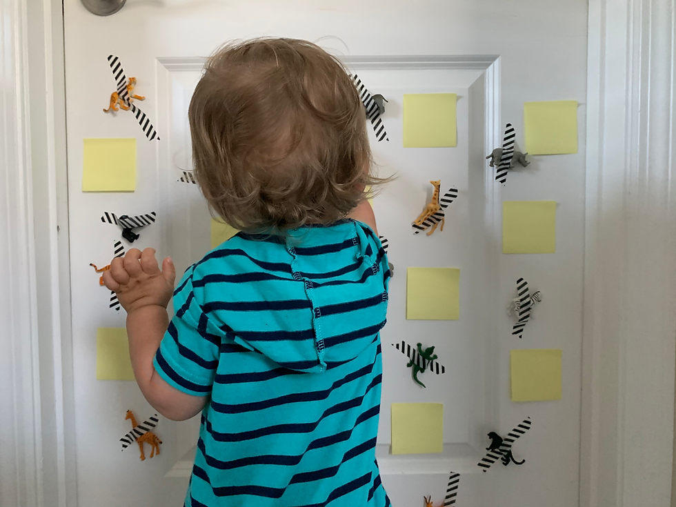 Thumbnail: My First School: A Preschool Curriculum