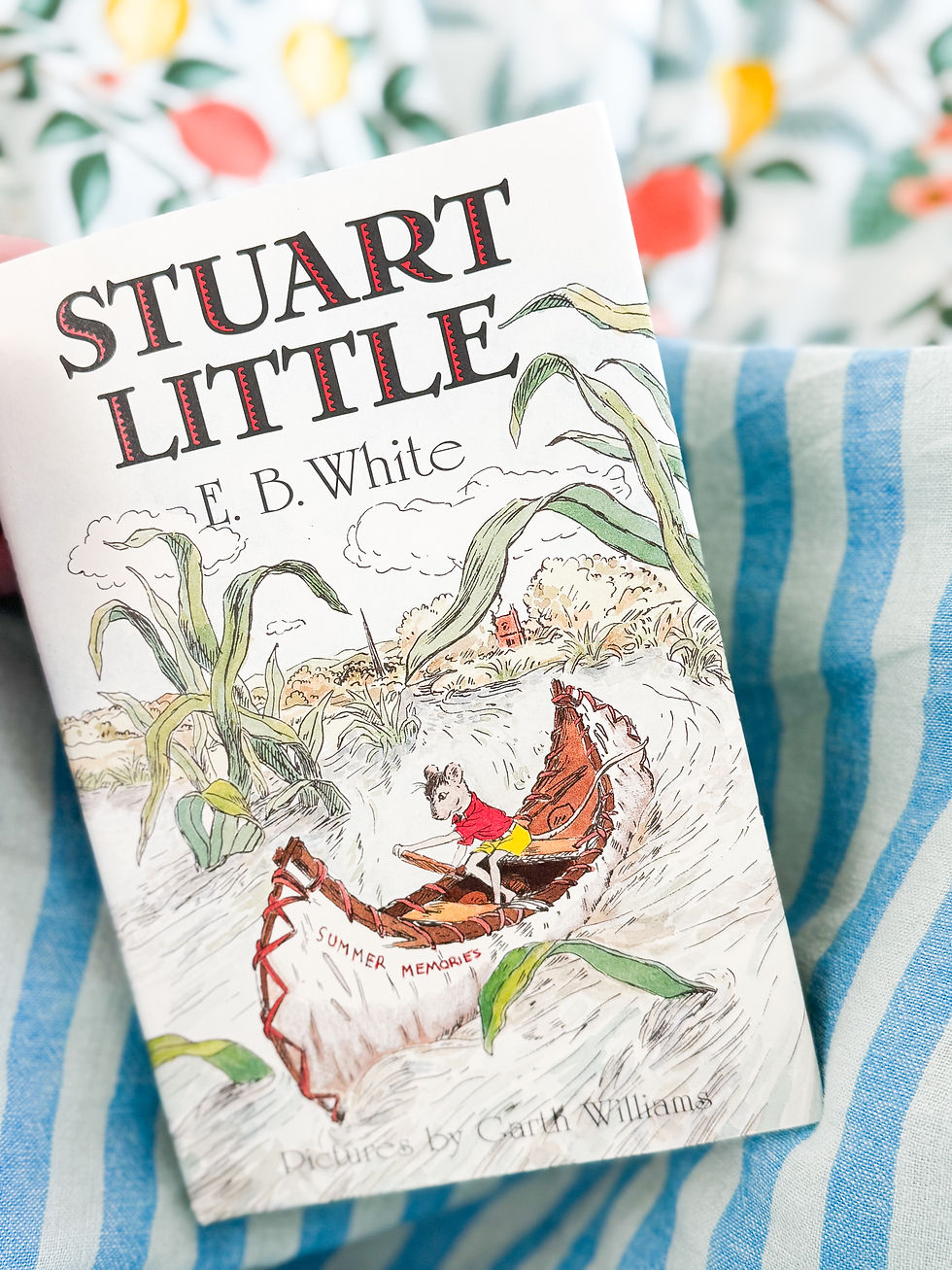 Thumbnail: Stuart Little Digital Book Explorer Guide